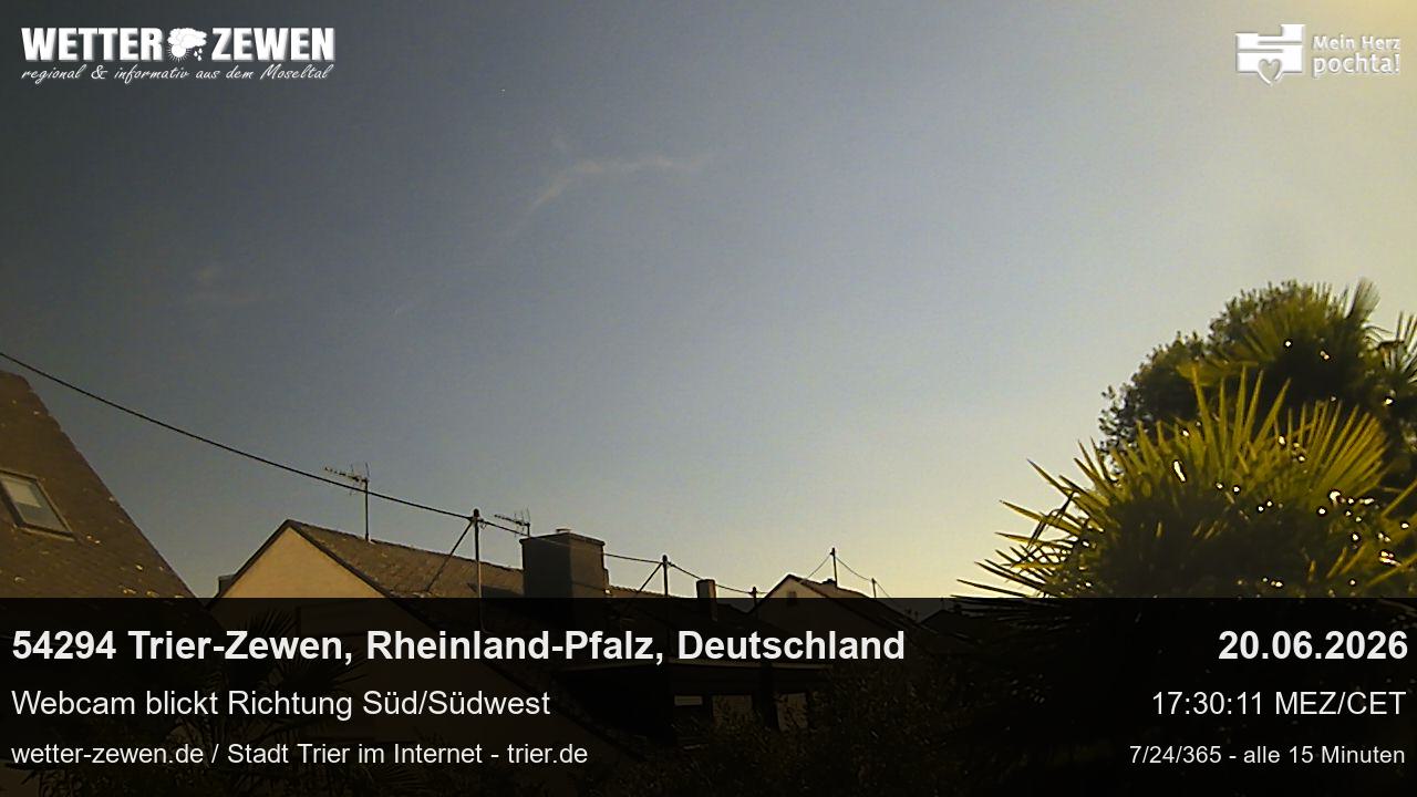 Bild