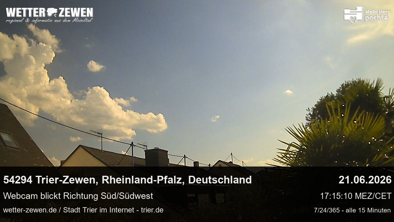 Bild