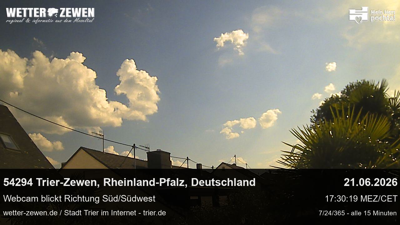 Bild