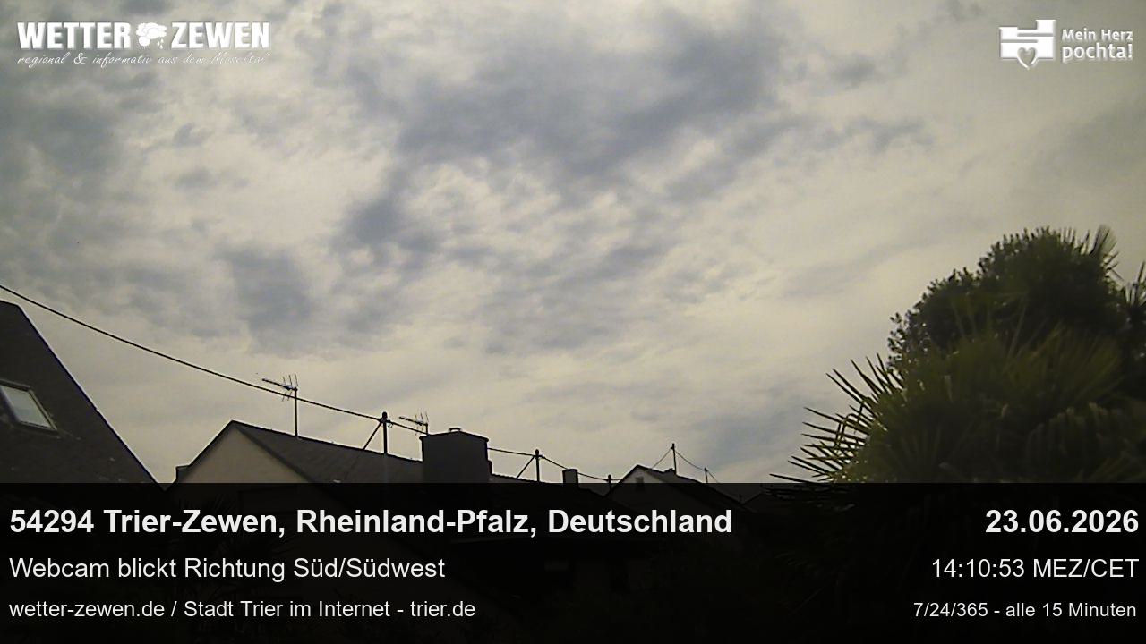 Bild