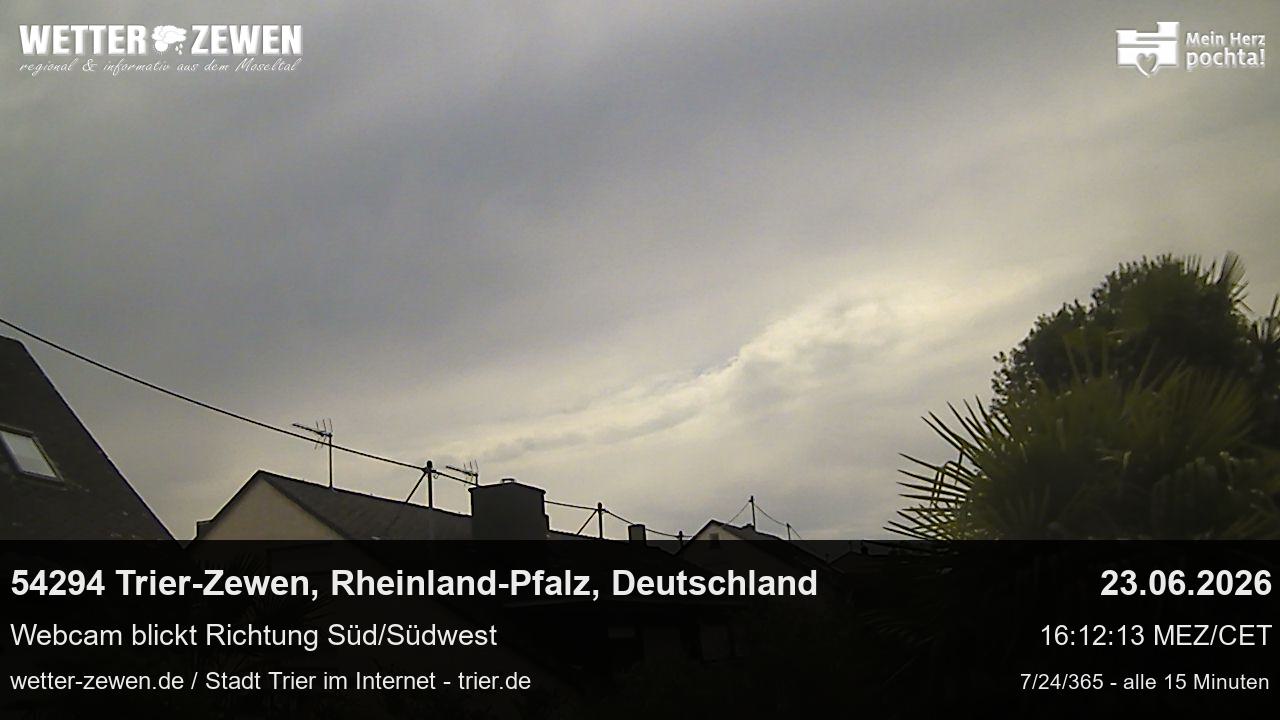 Bild