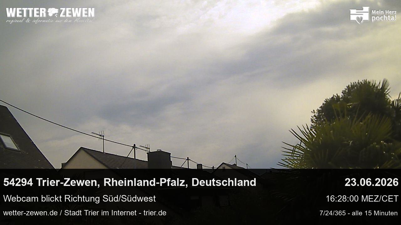 Bild