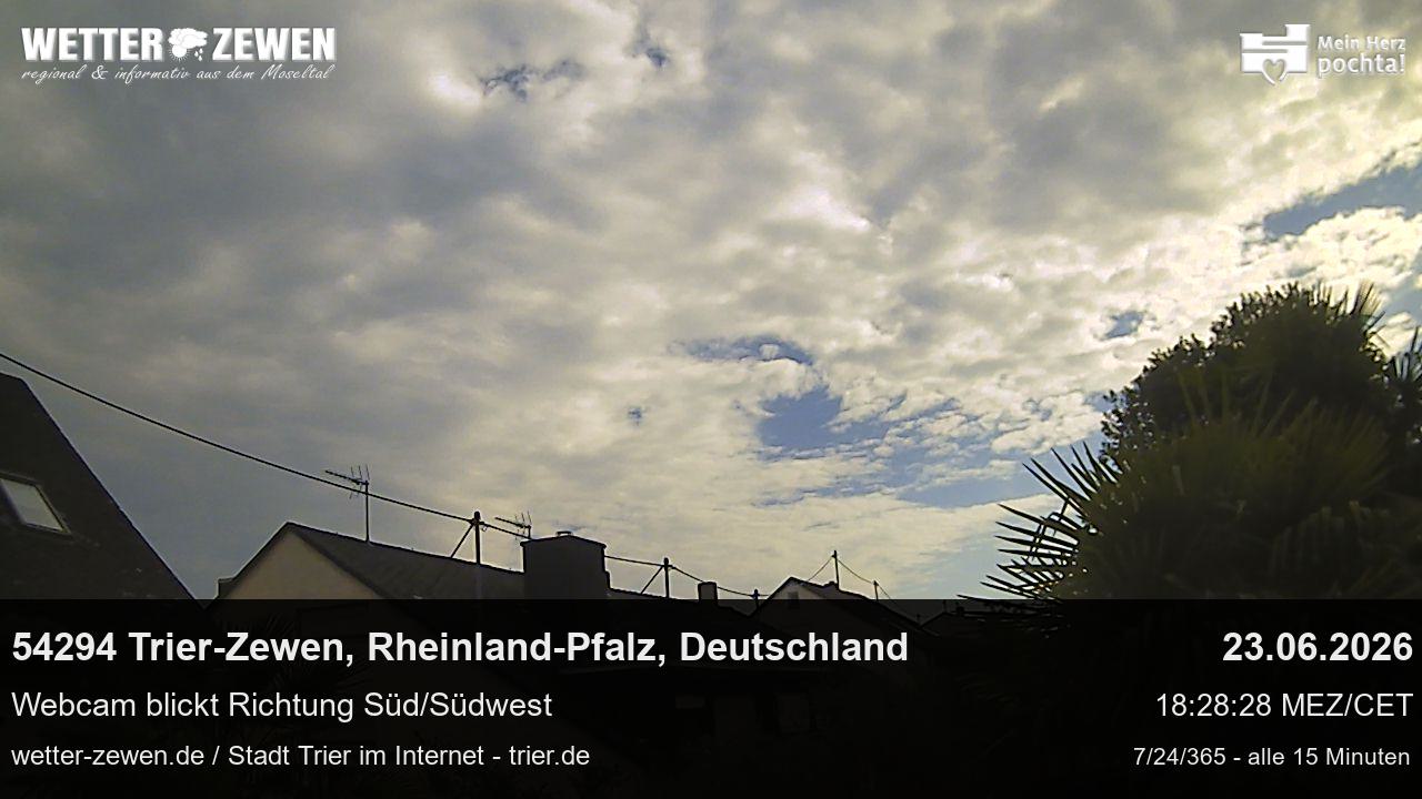Bild