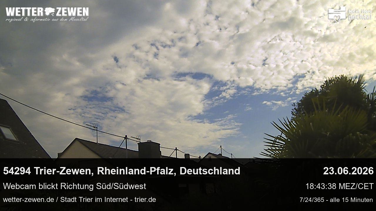 Bild