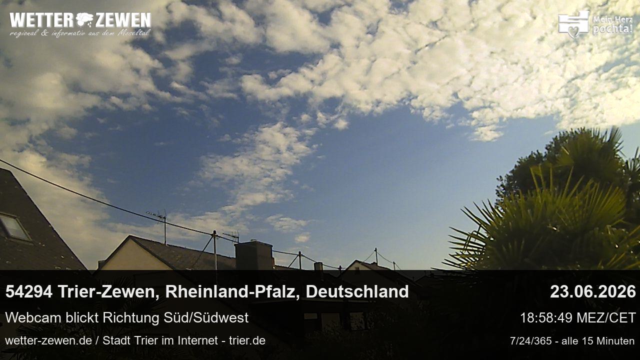 Bild
