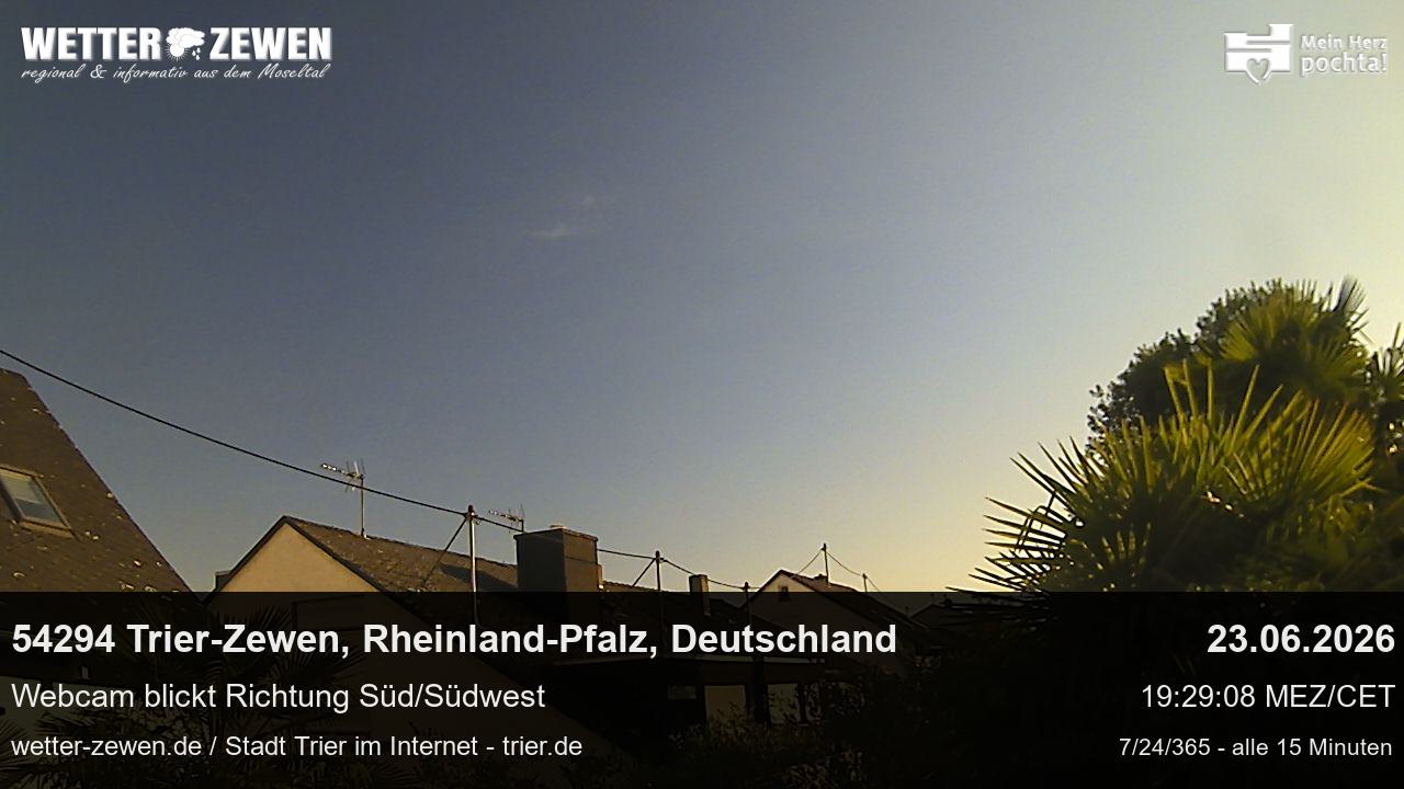 Bild