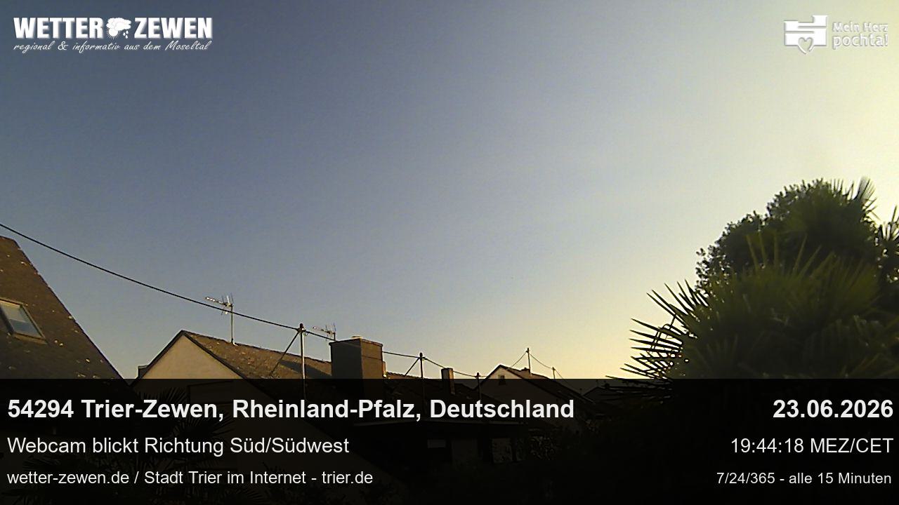 Bild