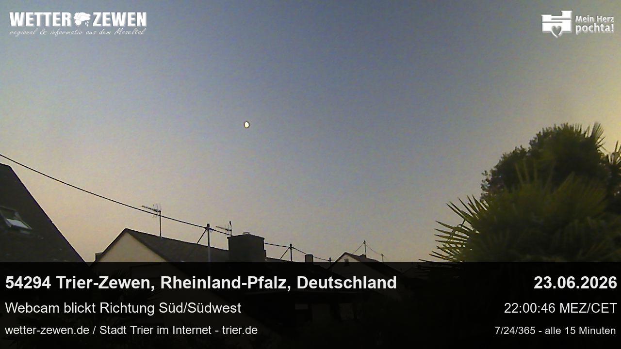 Bild