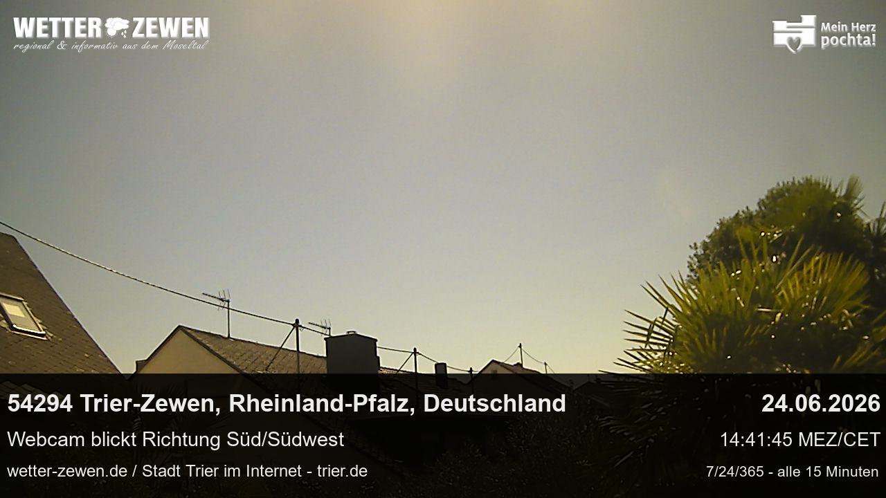 Bild