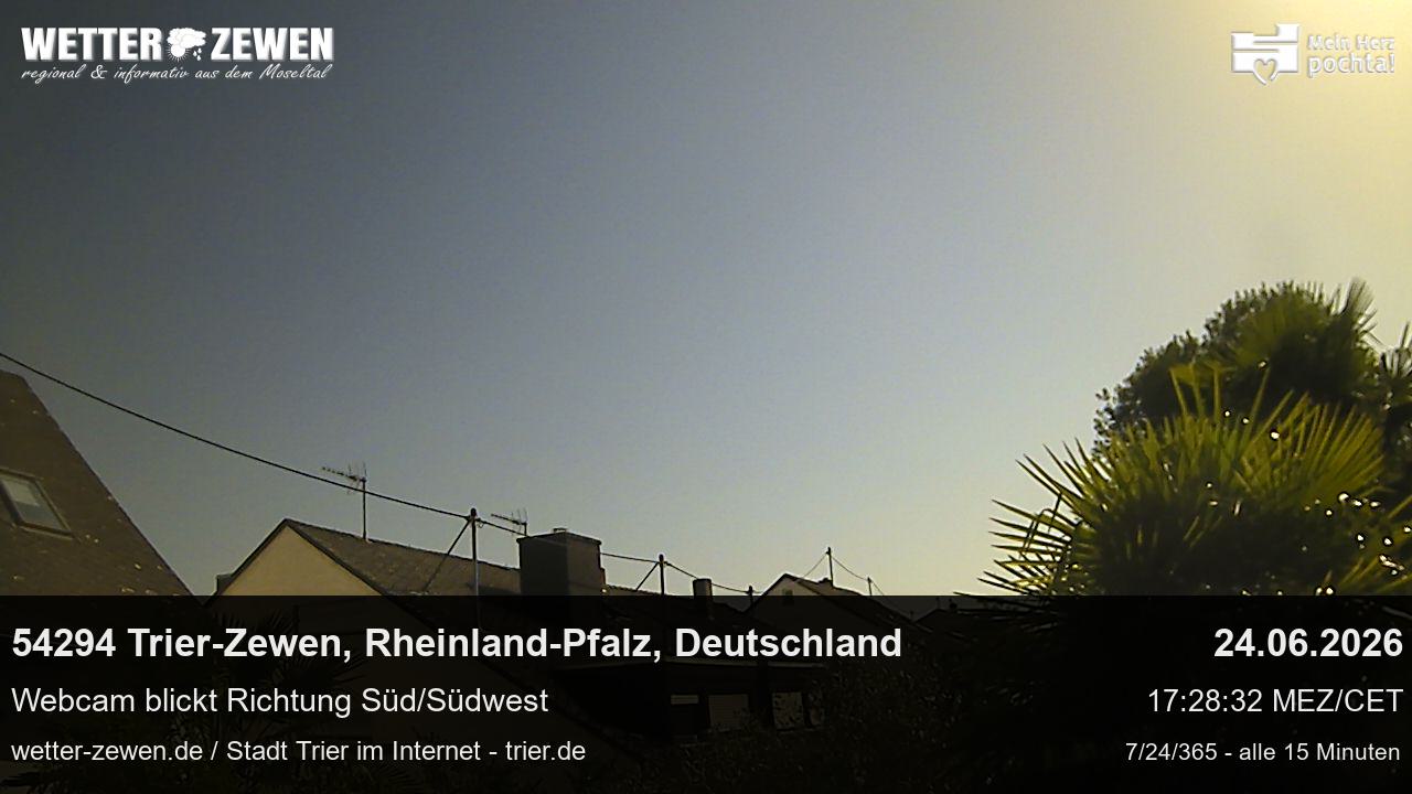 Bild