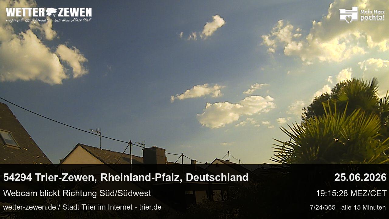 Bild