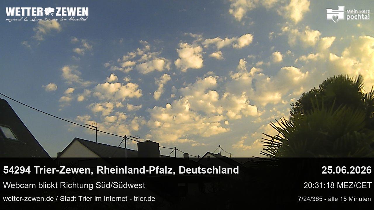Bild