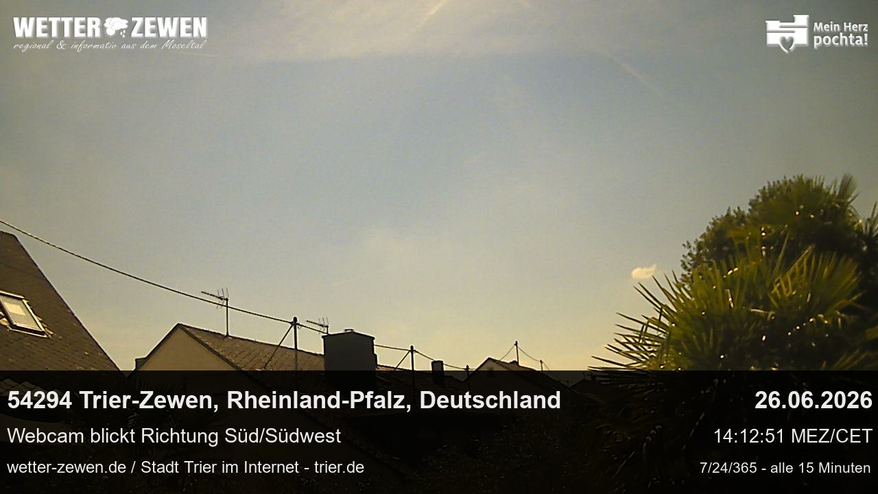 Bild