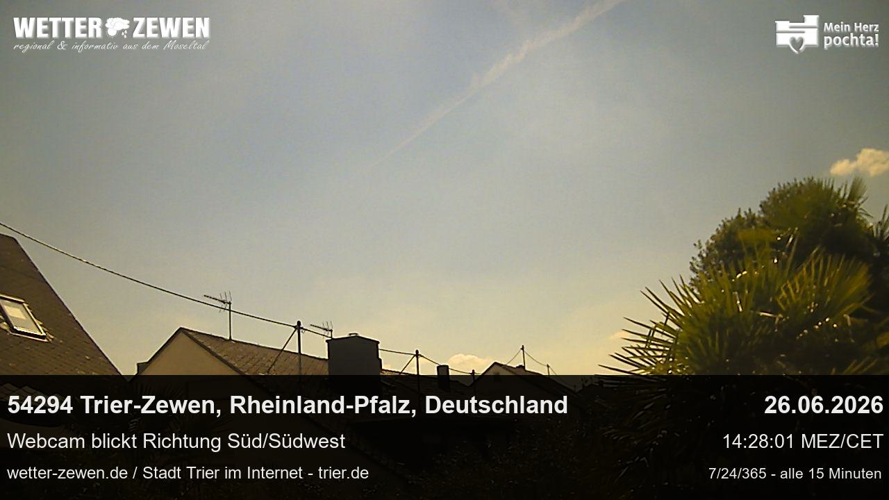 Bild