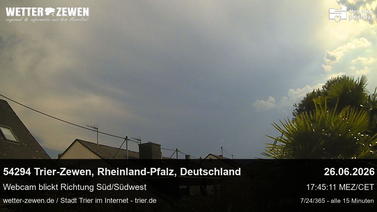 Bild