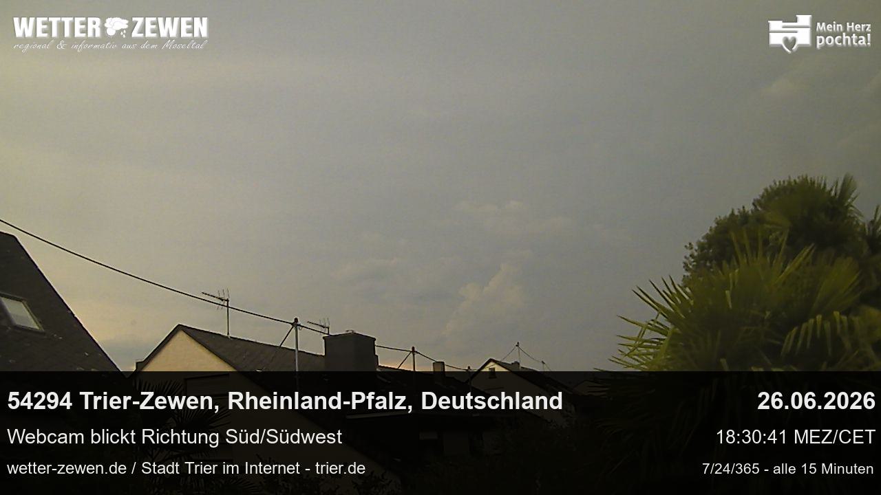 Bild