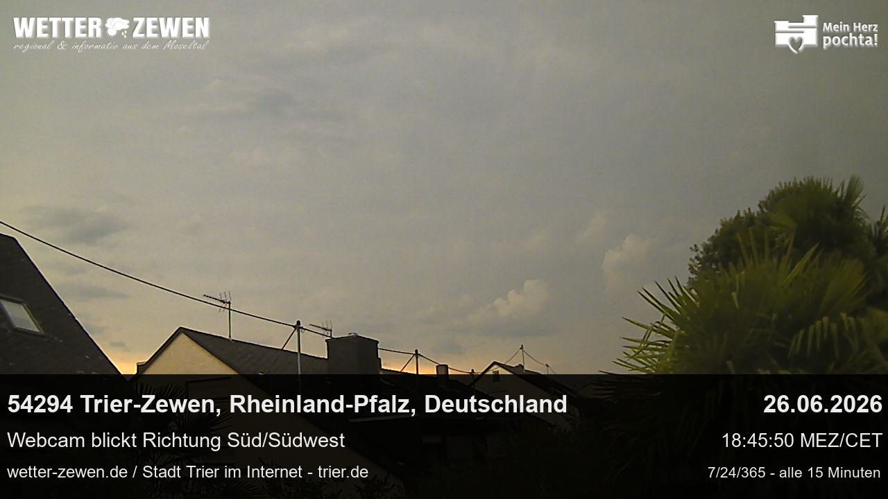 Bild