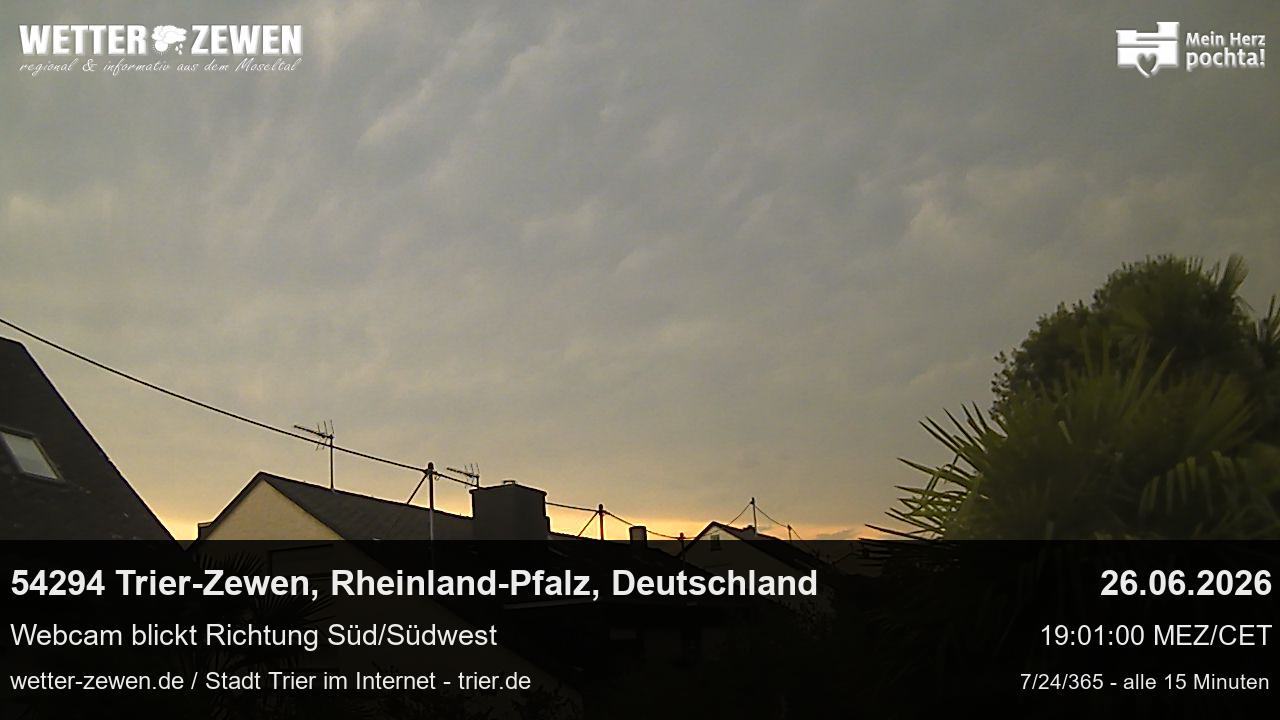 Bild