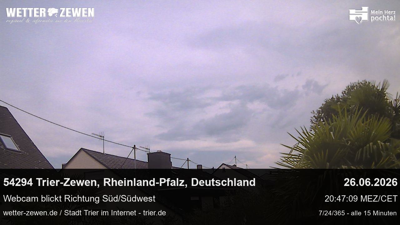 Bild