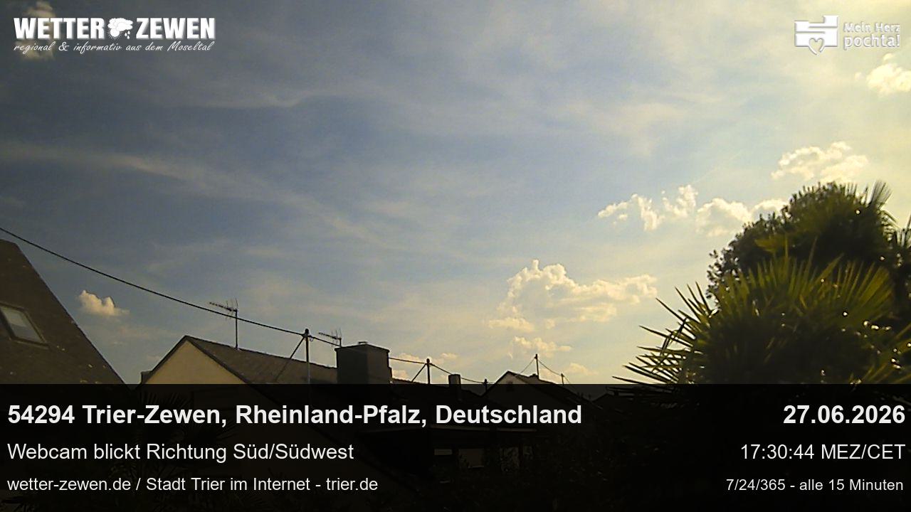 Bild