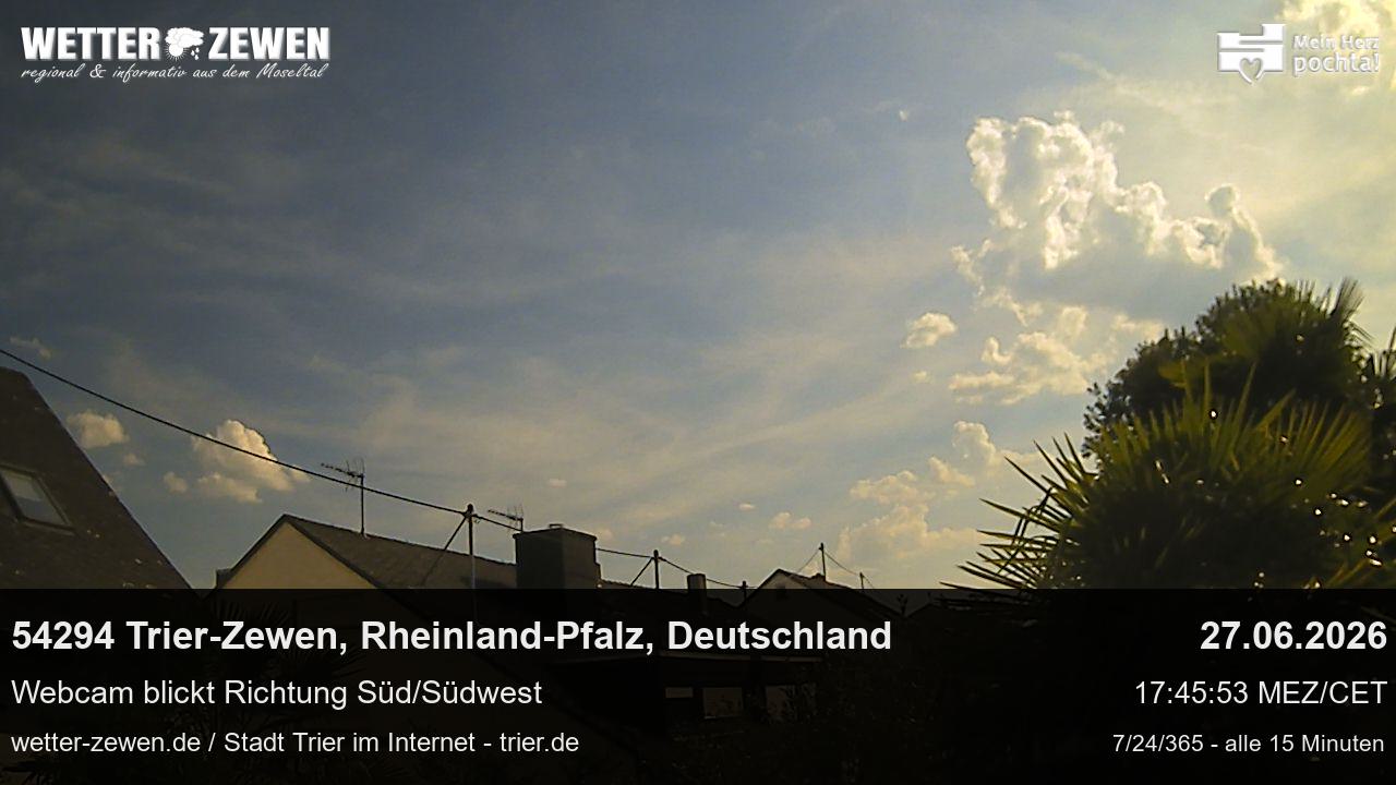 Bild