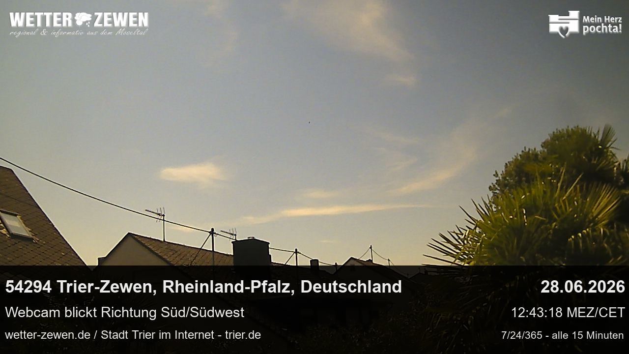 Bild