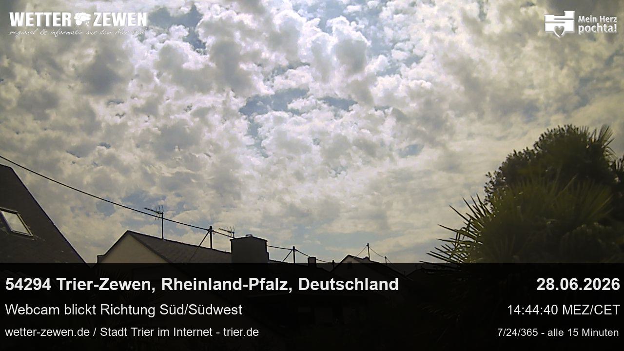 Bild