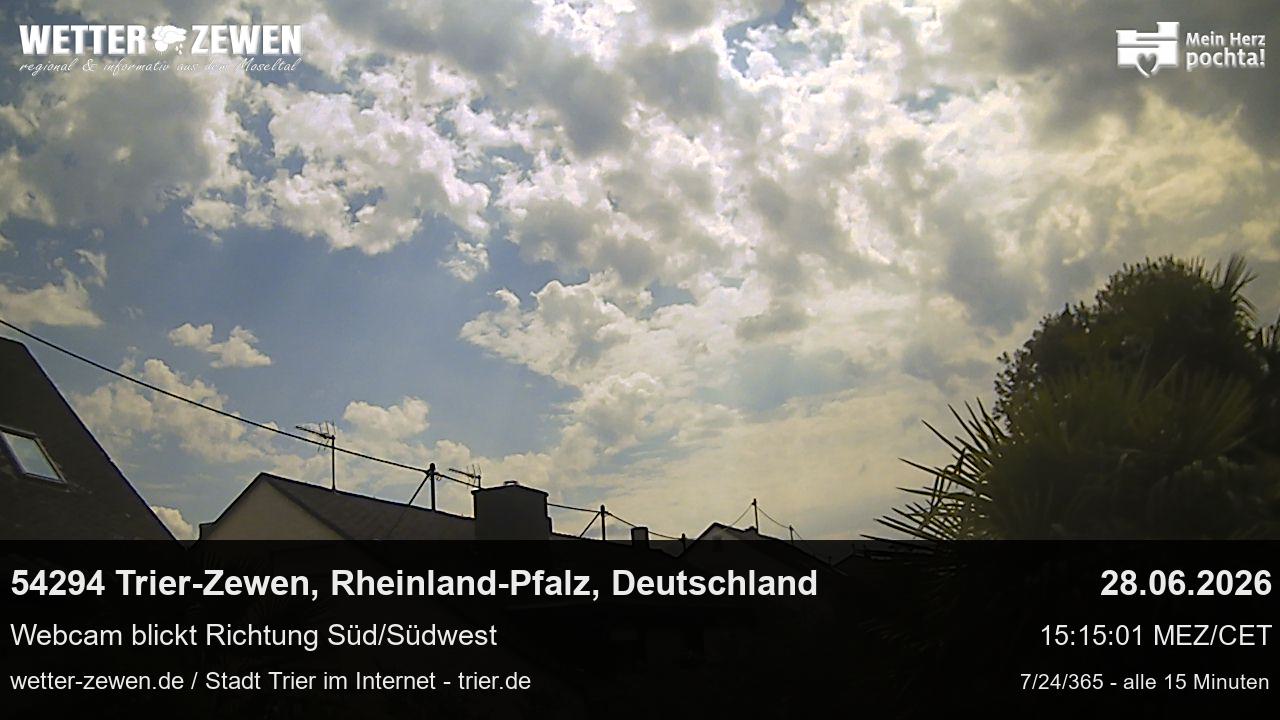 Bild