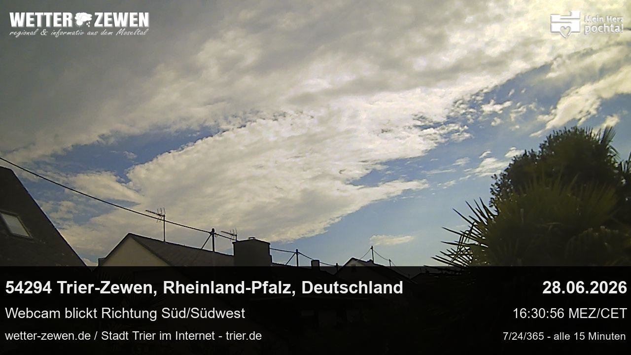 Bild
