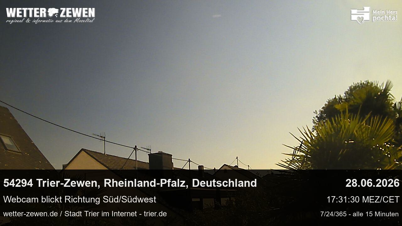 Bild