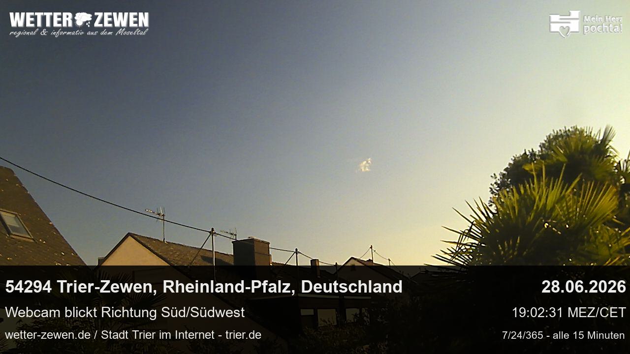 Bild
