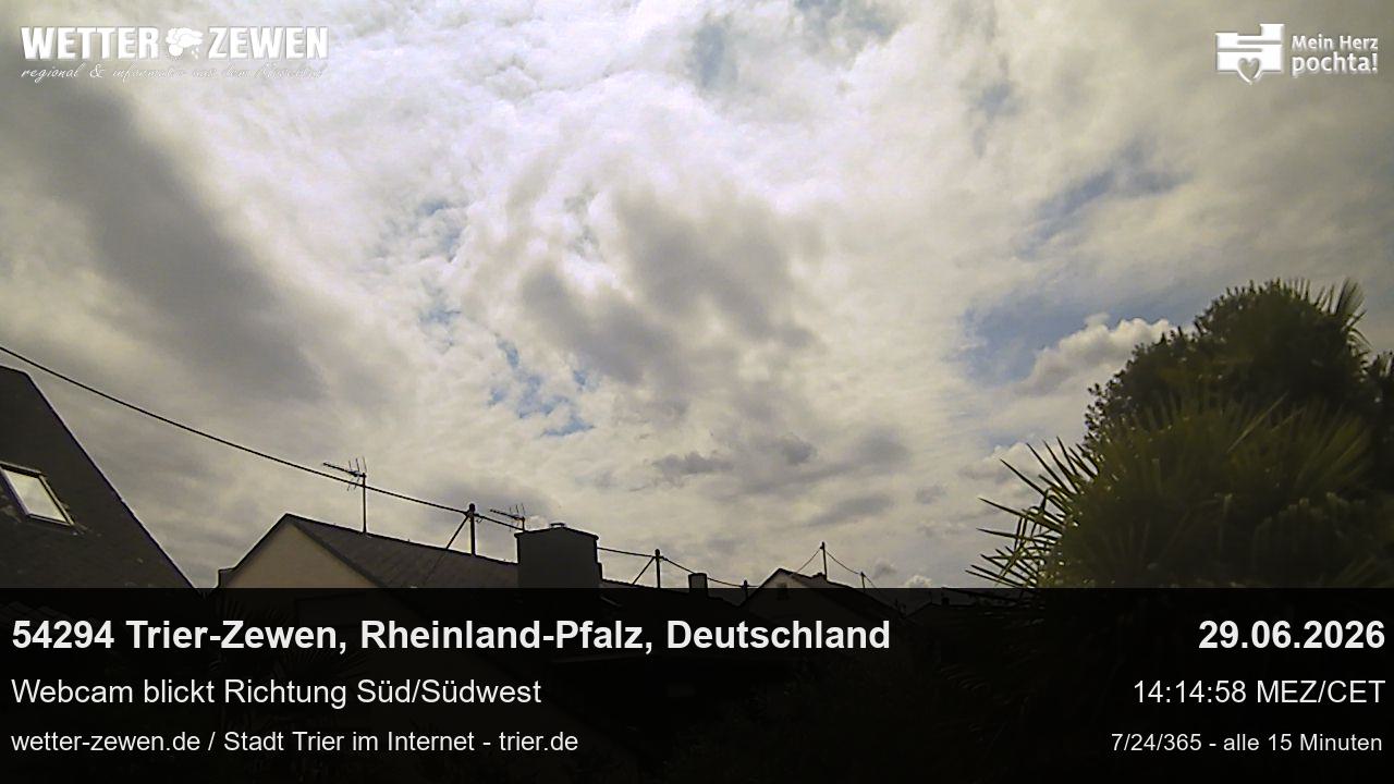 Bild