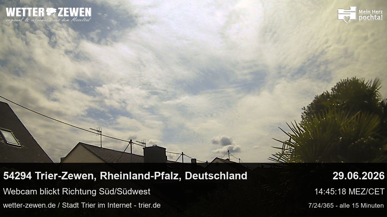 Bild