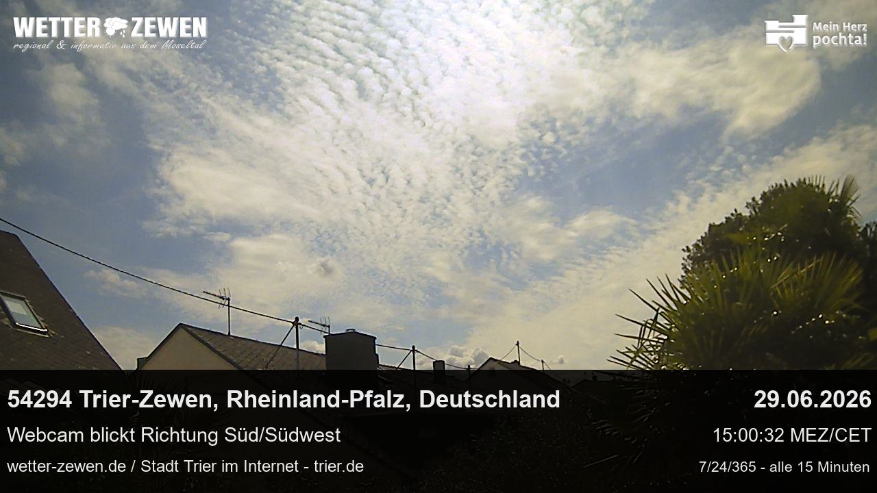 Bild
