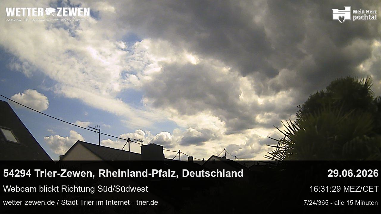 Bild