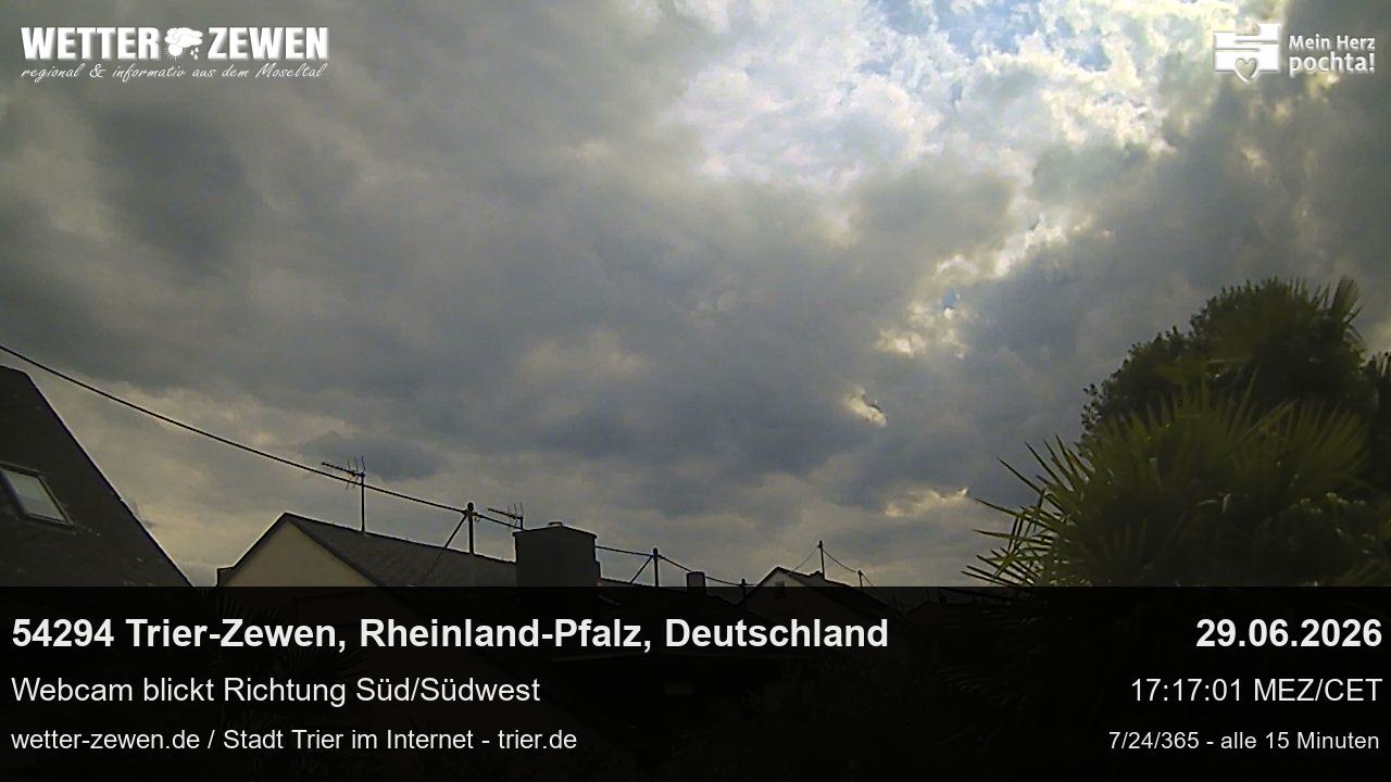 Bild
