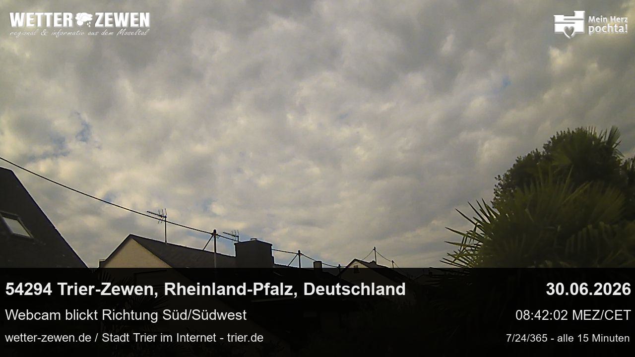 Bild