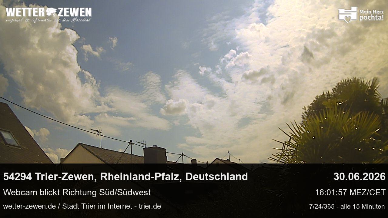 Bild