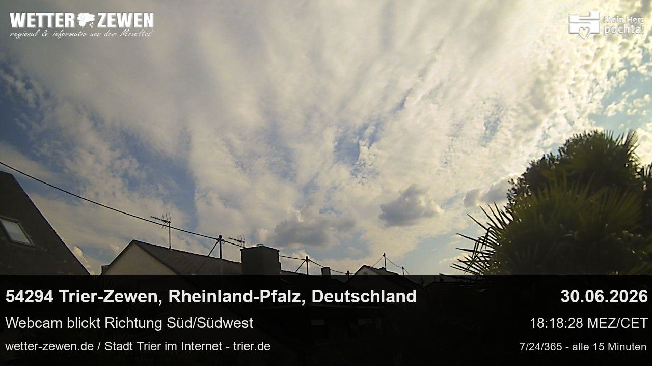 Bild