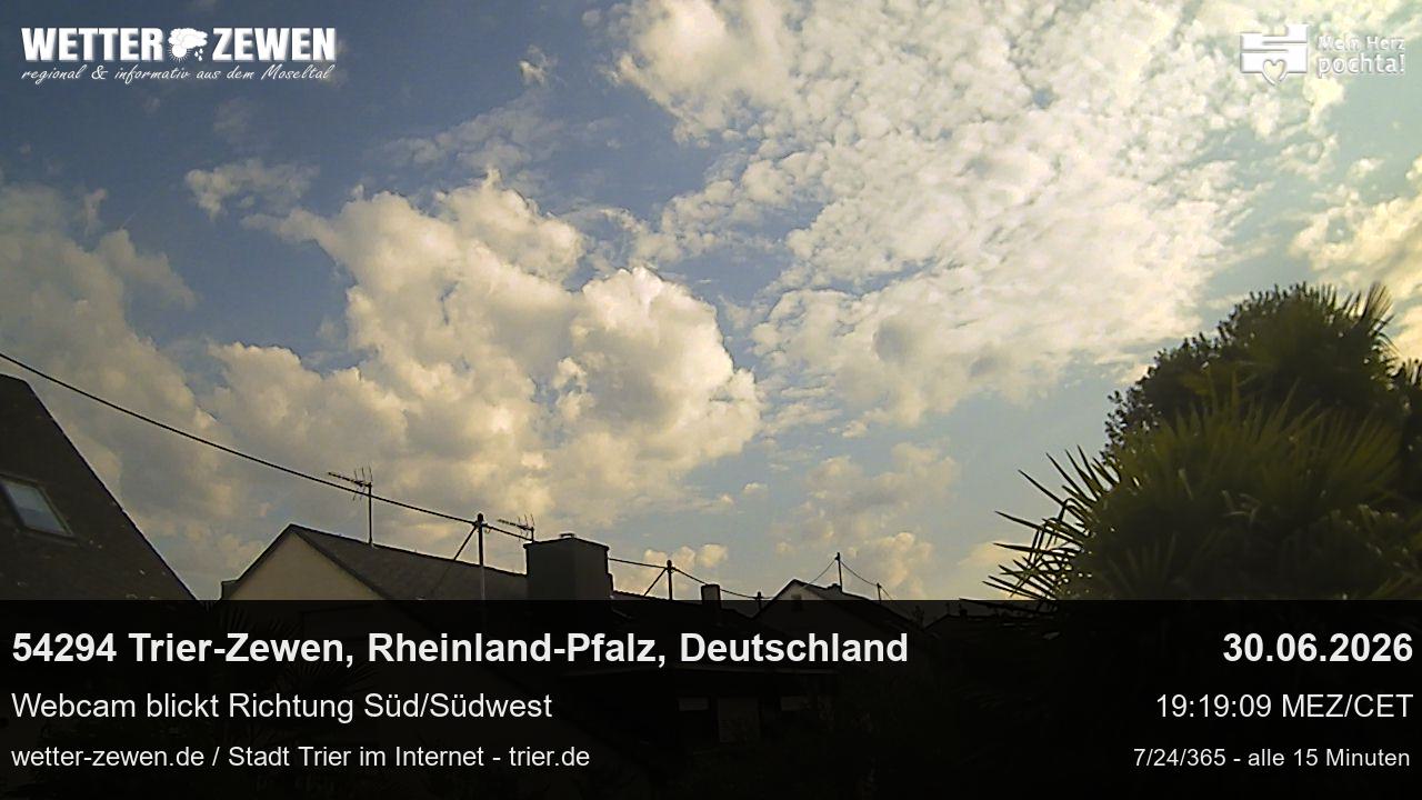 Bild