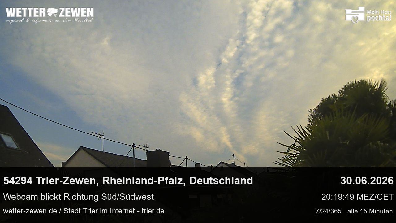 Bild