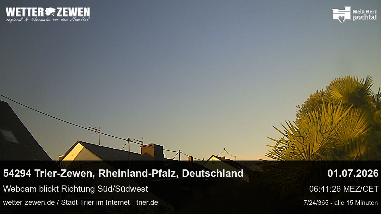 Bild