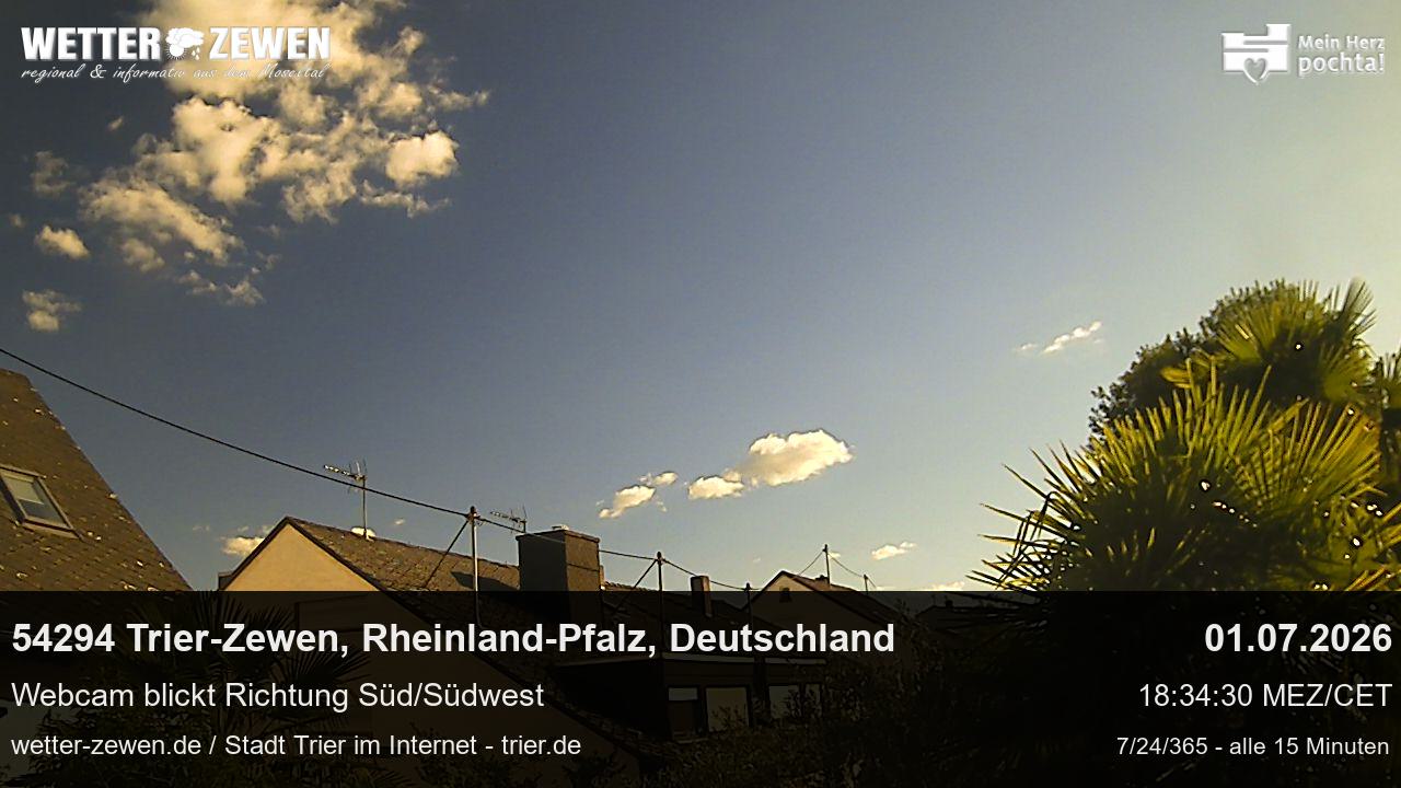 Bild