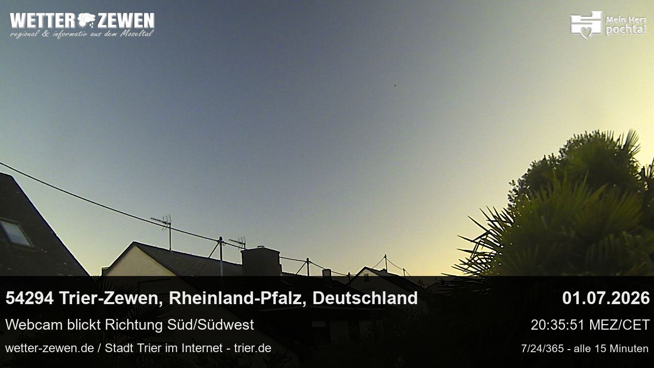 Bild