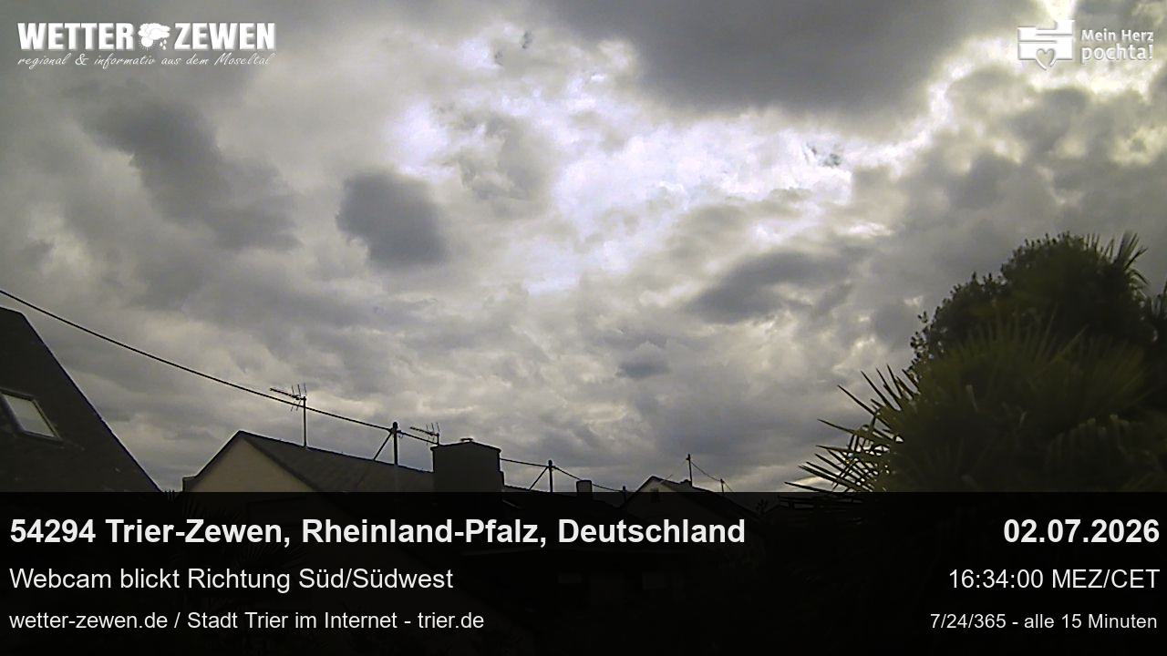 Bild
