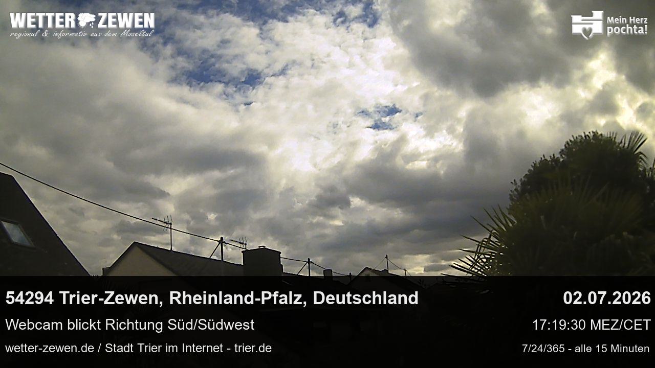 Bild