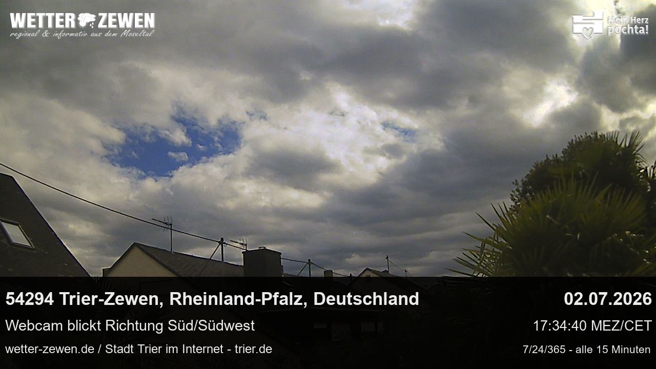 Bild