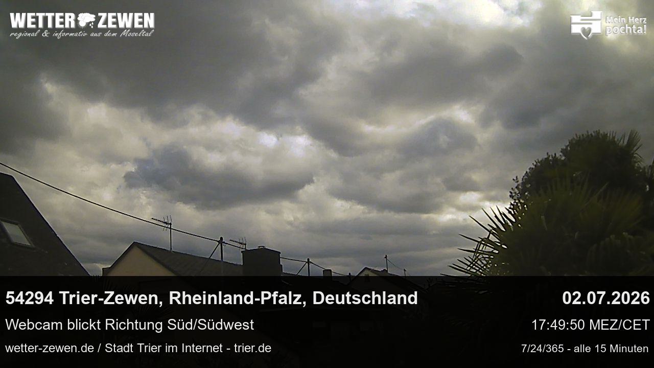 Bild
