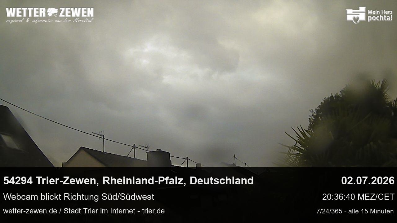 Bild