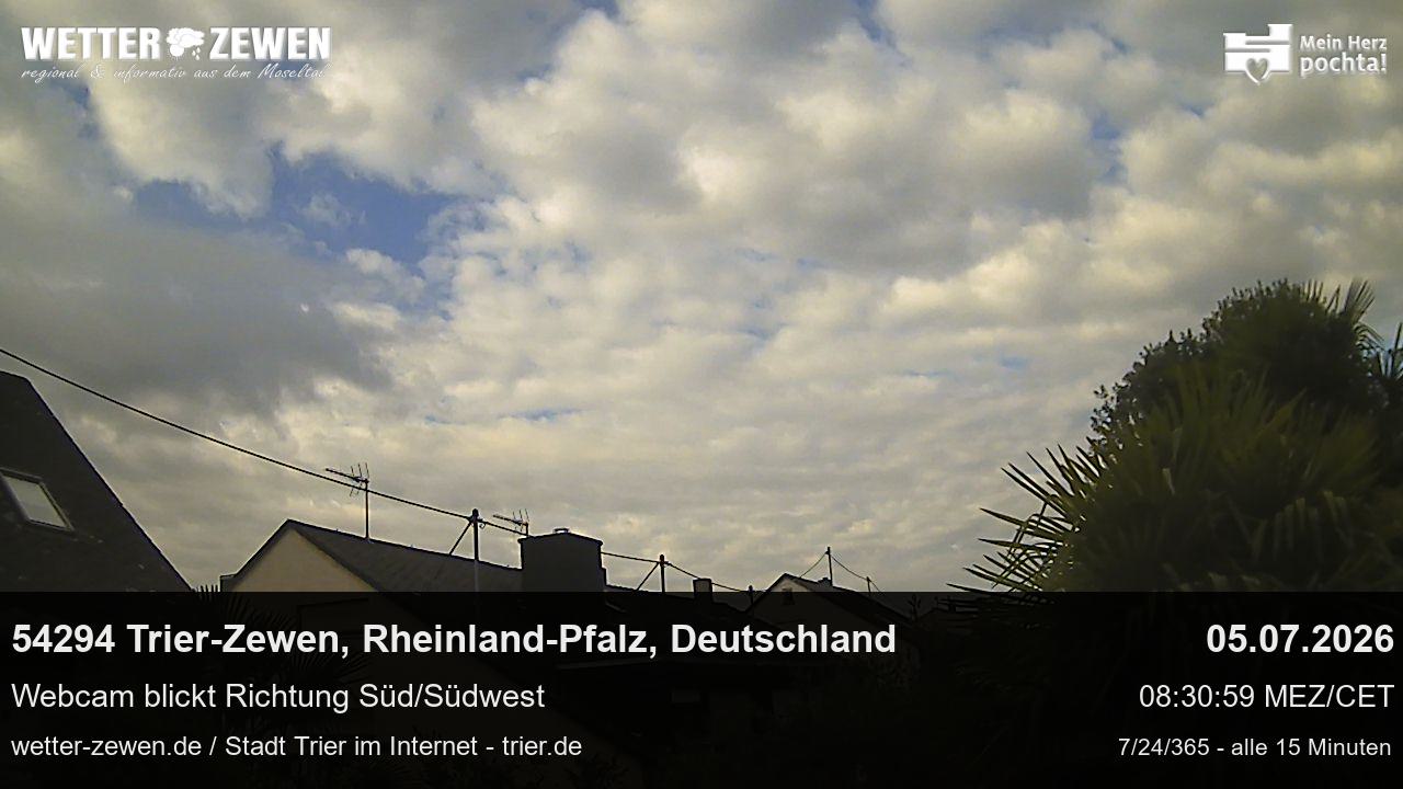 Bild